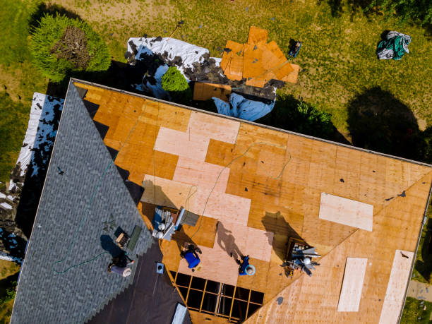 Best Residential Roofing Contractor  in Lavonia, GA