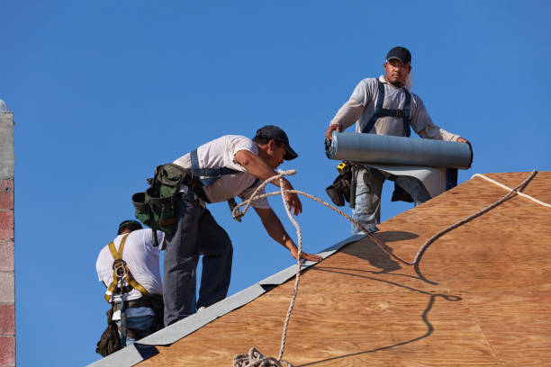 Best New Roof Installation  in Lavonia, GA